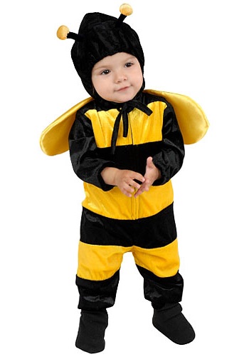 Little Bee Costume By: Charades for the 2022 Costume season.
