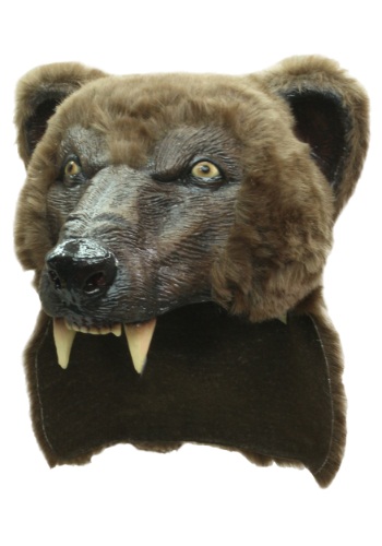 Bear Helmet -image