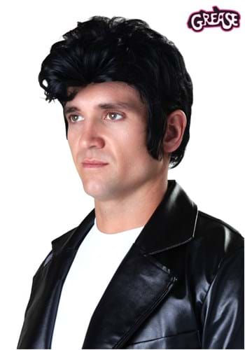 Deluxe Grease Adult Danny Wig -image