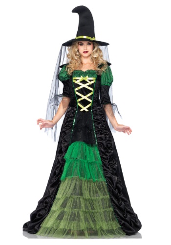 Adult Storybook Witch Costume -image