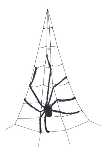 Corner Spider Web w Spider