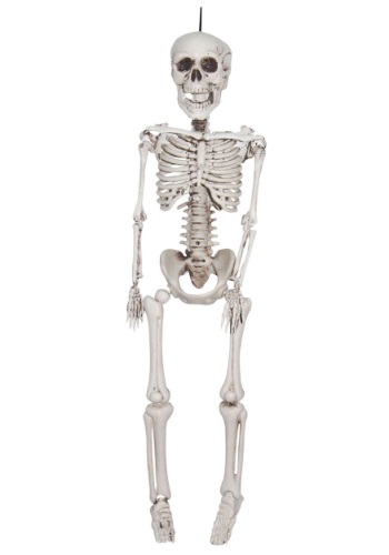 20 Inch Plastic Realistic Skeleton By: Sunstar for the 2022 Costume season.