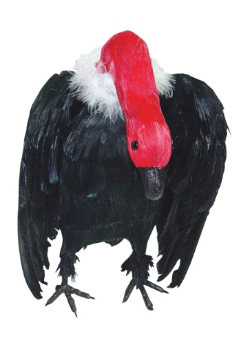 Vulture with Head Down Prop -image