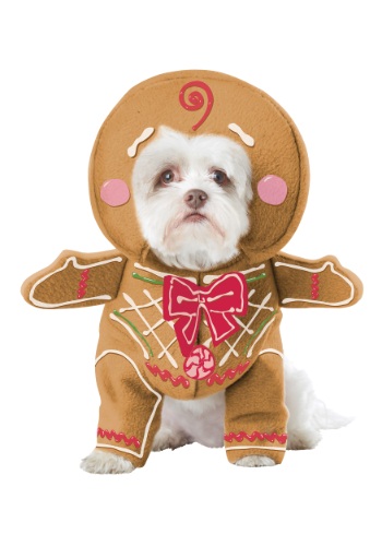 Gingerbread Pup Dog Costume By: California Costumes for the 2022 Costume season.