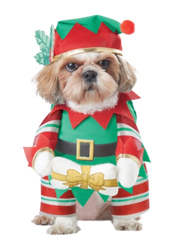 Elf Pup Dog Costume By: California Costumes for the 2022 Costume season.