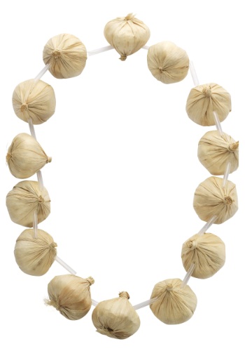 Garlic Garland -image