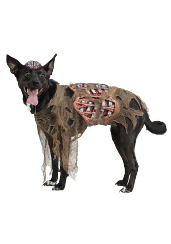 Zombie Dog Costume By: Fun World for the 2022 Costume season.