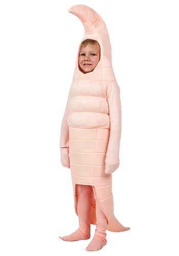 Toddler Earthworm Costume By: Fun Costumes for the 2022 Costume season.