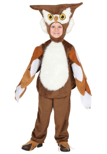 Toddler Hootie the Owl Costume By: Fun Costumes for the 2022 Costume season.