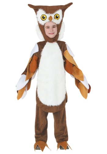 Child Owl Costume By: Fun Costumes for the 2022 Costume season.
