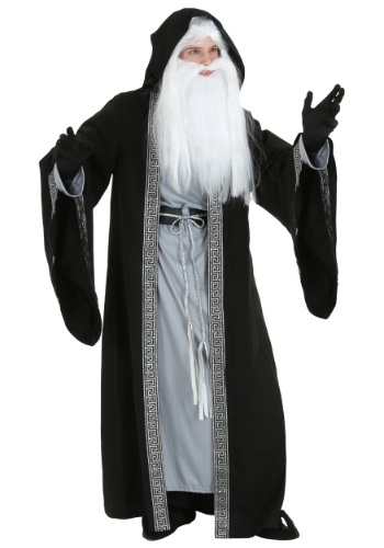 unknown Adult Deluxe Wizard Costume