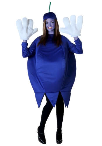 Plus Size Blueberry Costume By: Fun Costumes for the 2015 Costume season.