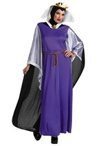 Adult Wicked Queen Costume