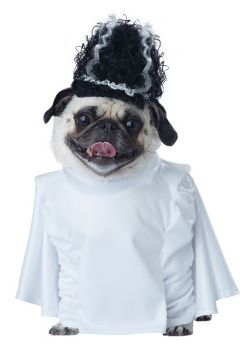 unknown Bride of Frankenpup Dog Costume