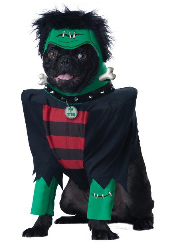 unknown Frankenpup Dog Costume