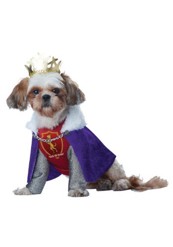 unknown King of Bones Dog Costume