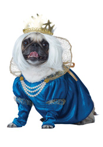 Queen of Bones Dog Costume