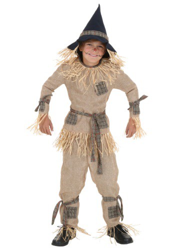unknown Child Silly Scarecrow Costume