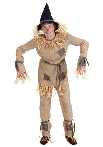 unknown Adult Classic Scarecrow Costume