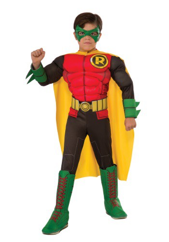 unknown DC Comics Deluxe Child Robin Costume