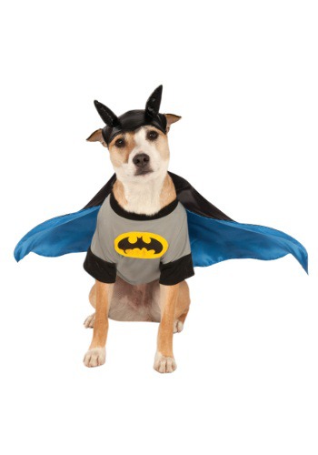 Batman Pet Costume By: Rubies Costume Co. Inc for the 2022 Costume season.