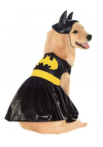 unknown Batgirl Pet Costume