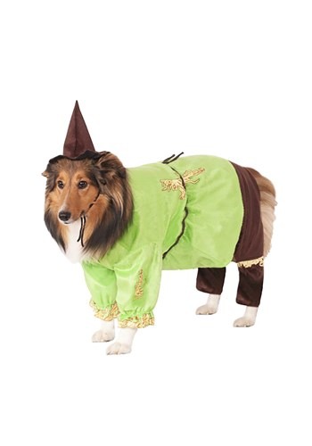 Scarecrow Pet Costume By: Rubies Costume Co. Inc for the 2022 Costume season.