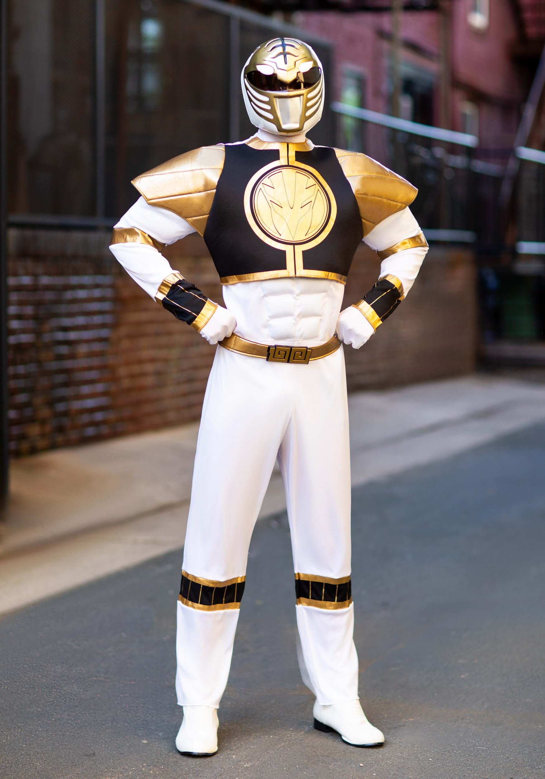 Adult Costume Power Ranger Size 2