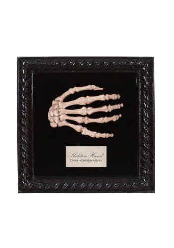 Lab Specimen Skeleton Hand By: Seasons USA Inc. for the 2022 Costume season.