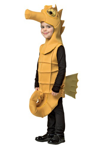 unknown Child Seahorse Costume