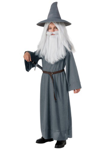 unknown Child Classic Gandalf Costume