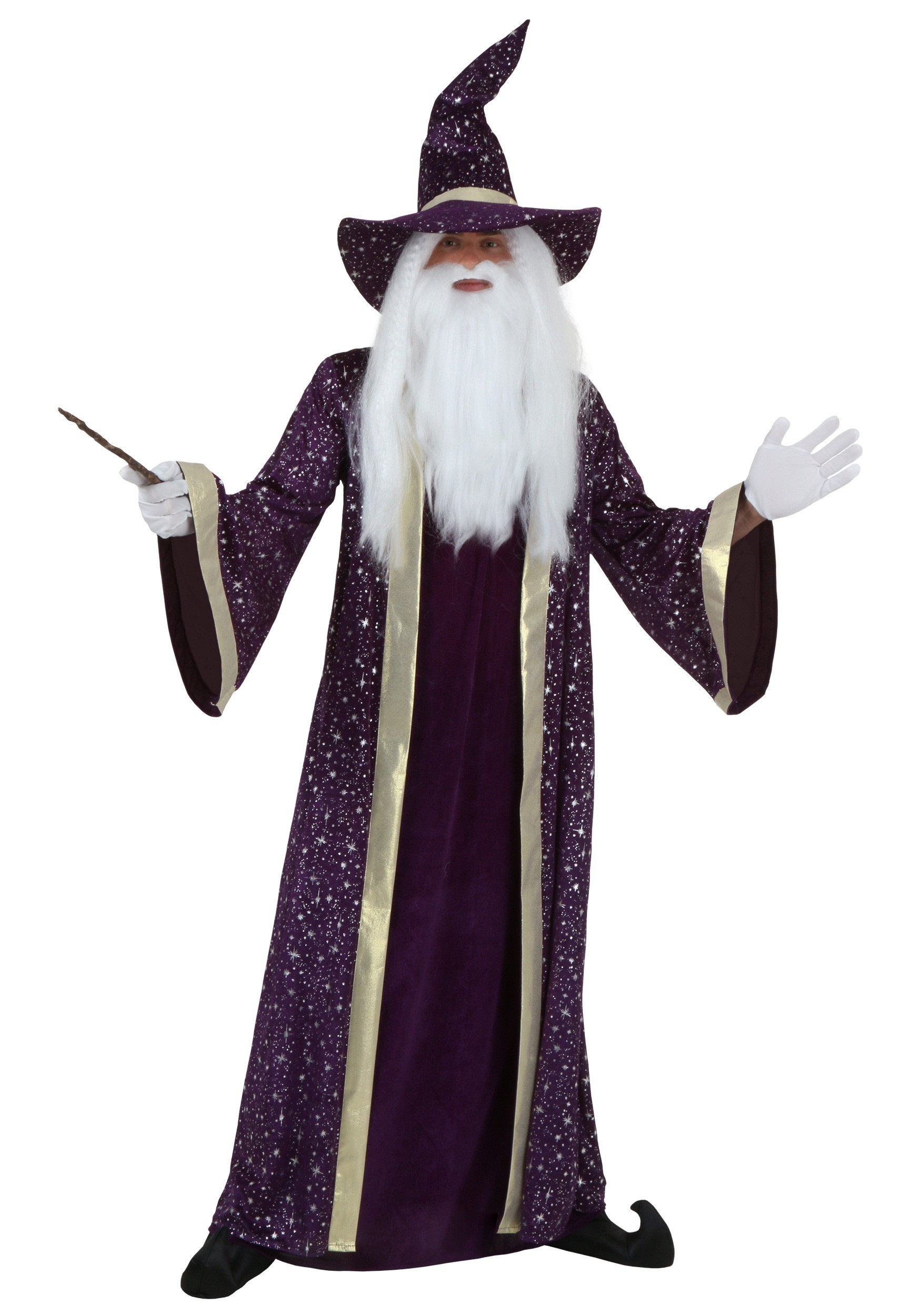 Adult Purple Wizard Costume 8672