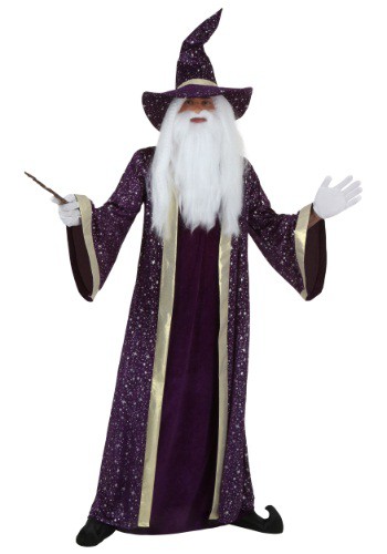 Adult Purple Wizard Costume By: Fun Costumes for the 2022 Costume season.