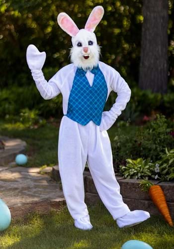 unknown Mascot Happy Easter Bunny Costume