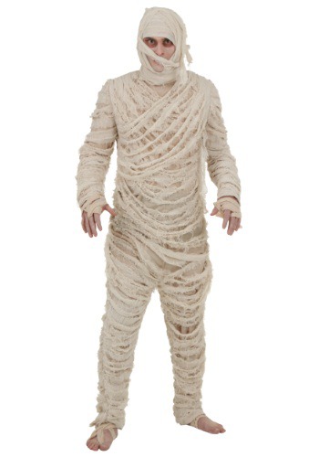 unknown Plus Size Men's Mummy Costume