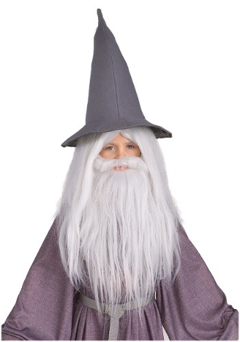 unknown Adult Gandalf Beard and Wig Set