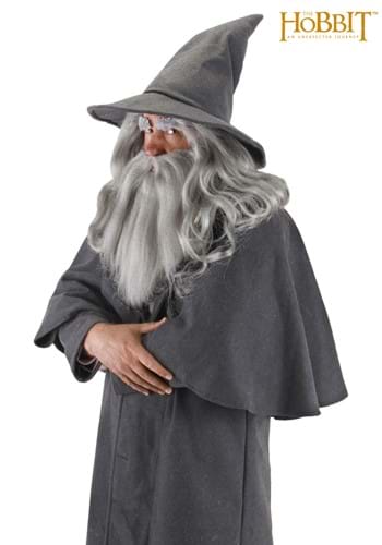 unknown Gandalf Hat