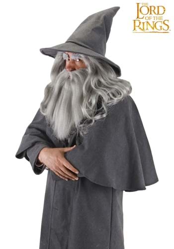 Gandalf Hat -image