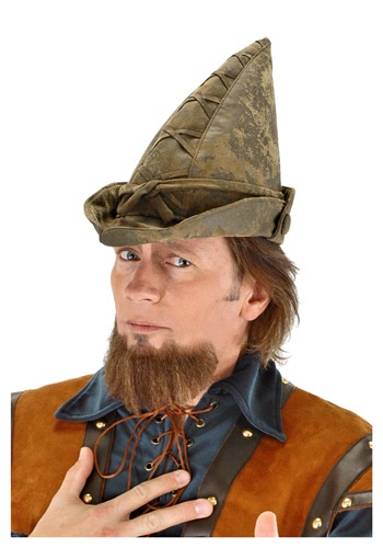 Robin Hood Hat Accessory -image