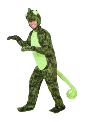 unknown Adult Chameleon Costume