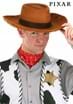Adult Deluxe Woody Cowboy Hat