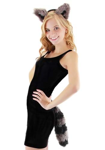 Raccoon Ears and Tail Set -image