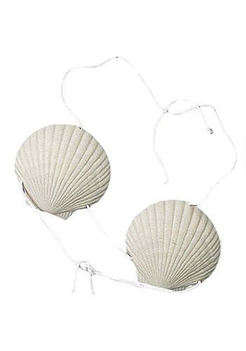 Shell Bra -image