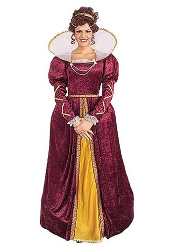 Adult Elizabethan Costume -image