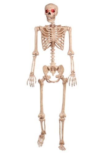 Light Skeleton with Timer