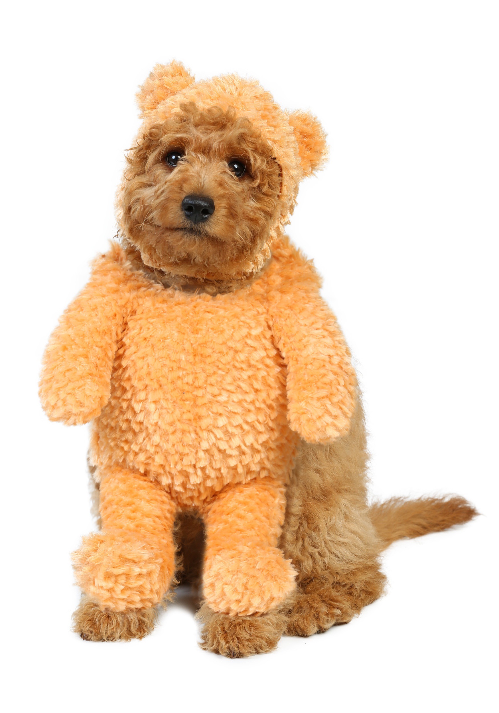 realistic teddy bear dog toy