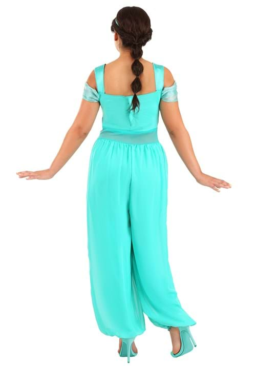 Disney Aladdin Deluxe Jasmine Women S Costume