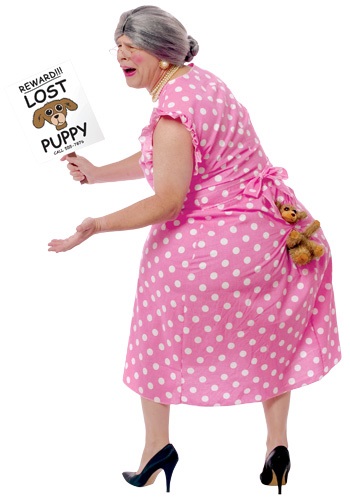 Lost Dog Costume By: Fun World for the 2015 Costume season.