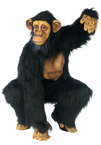 Adult Chimpanzee Costume -image