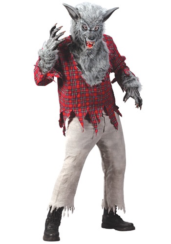 Silver Werewolf Costume By: Fun World for the 2022 Costume season.